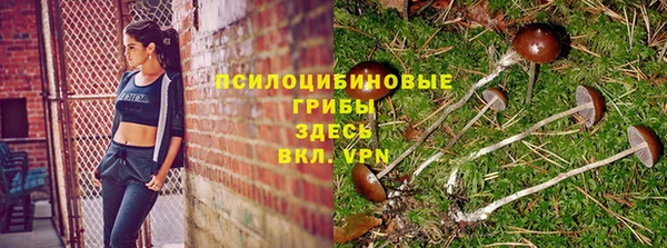 меф Армянск