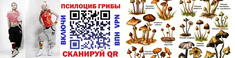ссылка на мегу как войти  Пересвет  Галлюциногенные грибы мицелий 